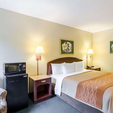 Comfort Inn & Suites Grundy Bagian luar foto